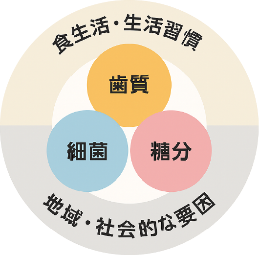 食生活・生活習慣、地域・社会的な要因、歯質、細菌、糖質